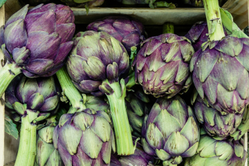 Interview Reboud Weight Gain Blog