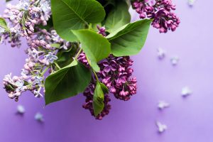 Intuitive Eating: Counselors