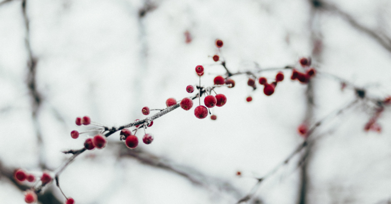 Potential Traps for Holidays (part 1)